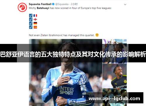 巴舒亚伊语言的五大独特特点及其对文化传承的影响解析